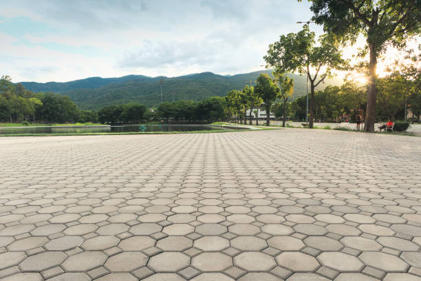 Best Best Driveway Pavers  in Lowell, AR